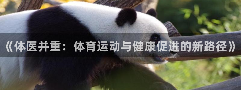 公海赌赌船官方正版app集团E.ON：《体医并重：体育运动与