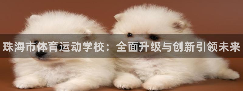 公海赌赌船官方正版app集团logo