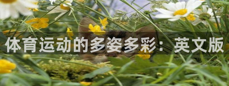 公海赌赌船官网下载招商电话：体育运动的多姿多彩：英文