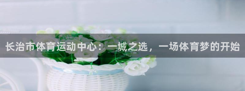 公海赌赌船官网下载招商：长治市体育运动中心：一城之选，一场体