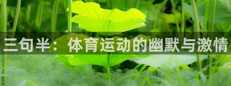 公海赌赌船官方正版app娱乐是那个系列的台子：三句半