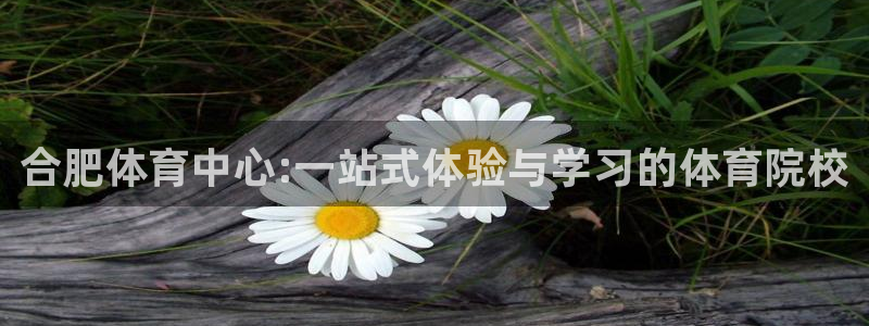 公海赌赌船官方正版app官网：合肥体育中心:一站式体