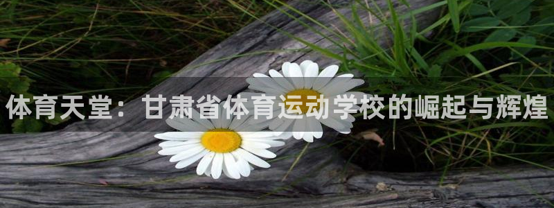 公海赌赌船官方正版app官网：体育天堂：甘肃省体育运