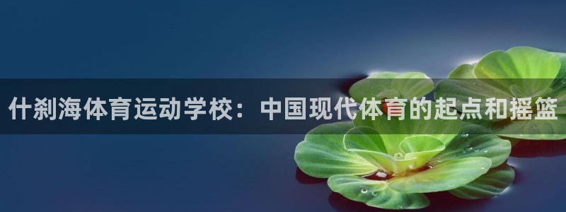 公海赌赌船官方平台体育：什刹海体育运动学校：中国现代体育的起