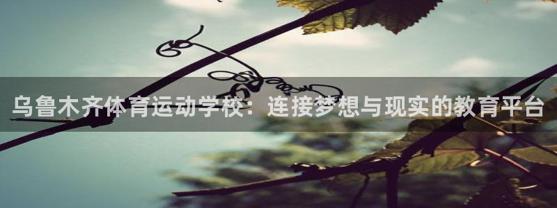 公海赌赌船官方正版app集团官网首页：乌鲁木齐体育运动学校：