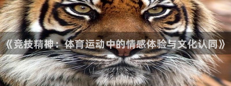 公海赌赌船官方正版app集团：《竞技精神：体育运动中