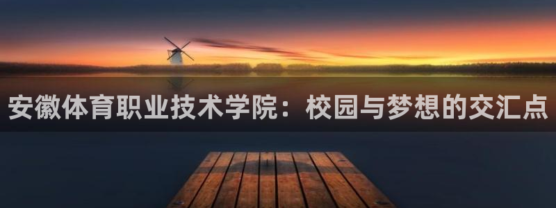 公海赌赌船官网下载是干嘛的公司：安徽体育职业技术学院