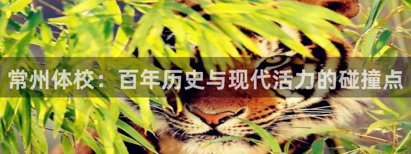 公海赌赌船官方正版app娱乐代理怎么样：常州体校：百