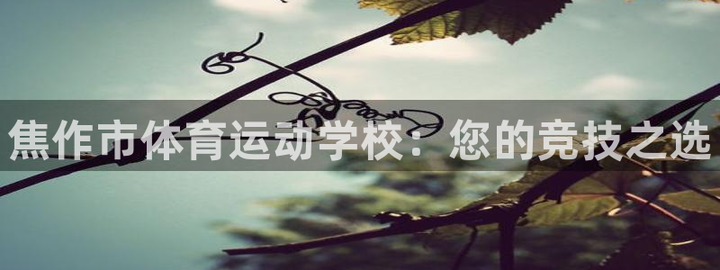 公海赌赌船官方正版app娱乐平台：焦作市体育运动学校