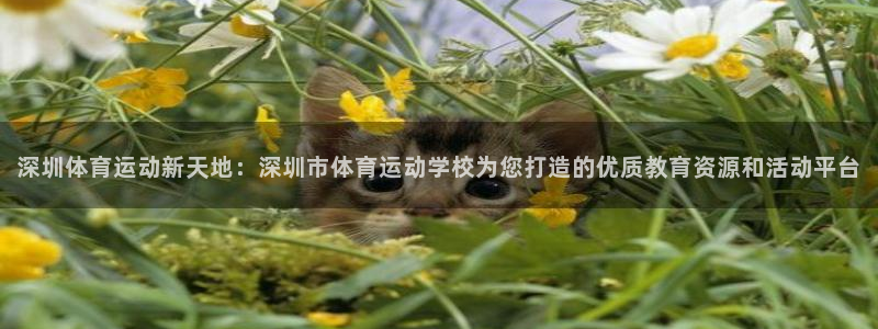 公海赌赌船官方正版app开户：深圳体育运动新天地：深