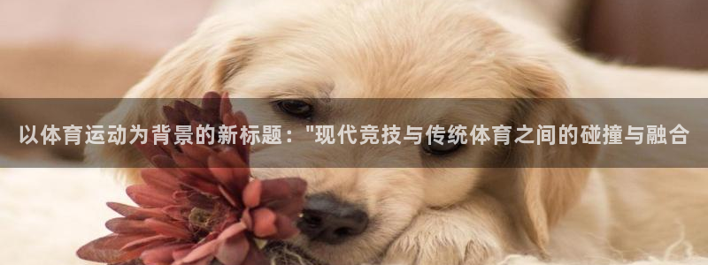 公海赌赌船官方正版app集团简介：以体育运动为背景的新标题：