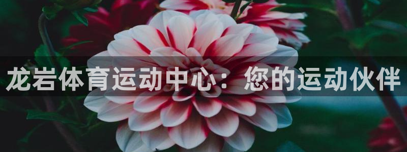 公海赌赌船官网下载平台假的吗是真的吗：龙岩体育运动中心：您的