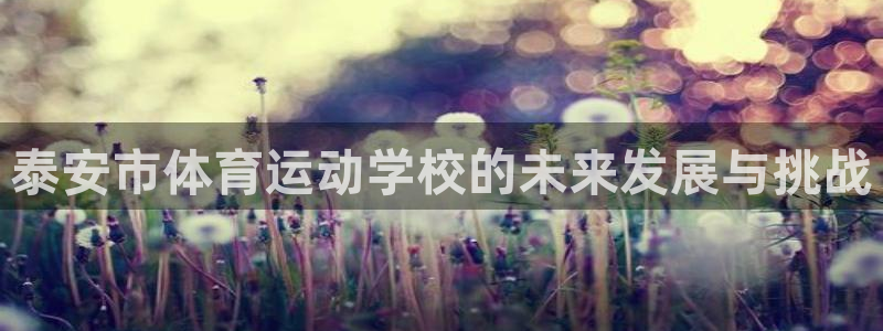 公海赌赌船官方正版app代理：泰安市体育运动学校的未来发展与