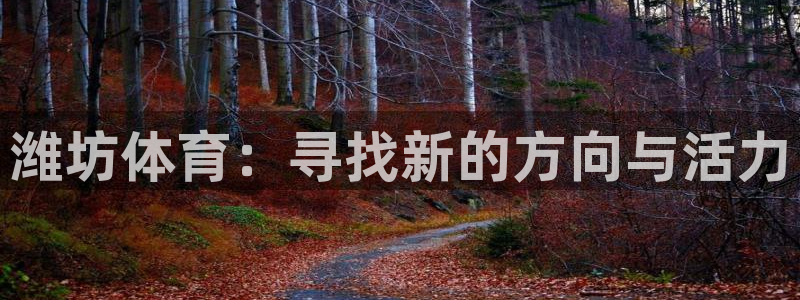 公海赌赌船官方正版app新能源：潍坊体育：寻找新的方向与活力