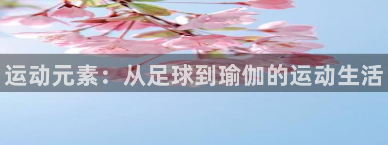 公海赌赌船官网下载平台是正规平台吗知乎：运动元素：从足球到瑜