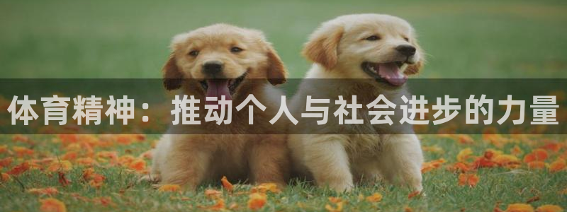 公海赌赌船官网下载平台是正规平台吗安全吗：体育精神：