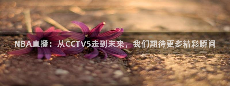 360直播无插件nba直播：NBA直播：从CCTV5走到未来，我们期待更多精彩瞬间