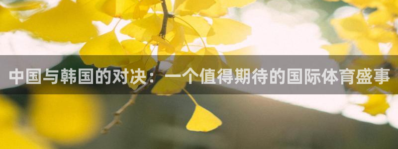 欧联杯360直播：中国与韩国的对决：一个值得期待的国际体育盛事