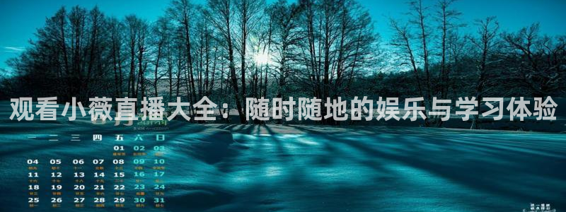 雨燕360体育免费直播足球：观看小薇直播大全：随时随地的娱乐与学习体验